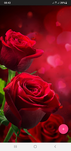 Android application 50000 Nature Wallpapers screenshort