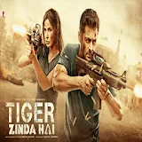 Tiger Zinda Hai Full Movie icon