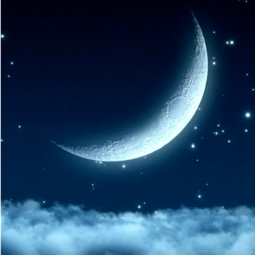 Magic Night Live Wallpaper Pro logo