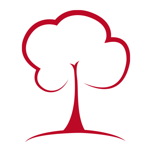 Analysic logo