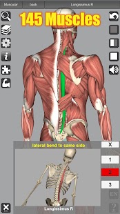 Captures d'écran d'anatomie 3D