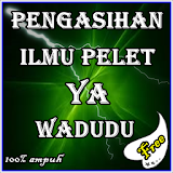 Pelet Ya Wadudu icon