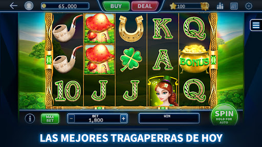 Vista previa de la aplicación