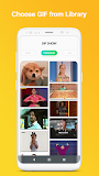 Gif maker With funny faces