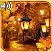 Top 40 Personalization Apps Like Autumn Park live wallpaper - Best Alternatives