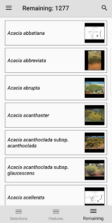 Wattle - Acacias of Australiaのおすすめ画像4