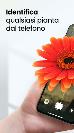 Anteprima dell'app