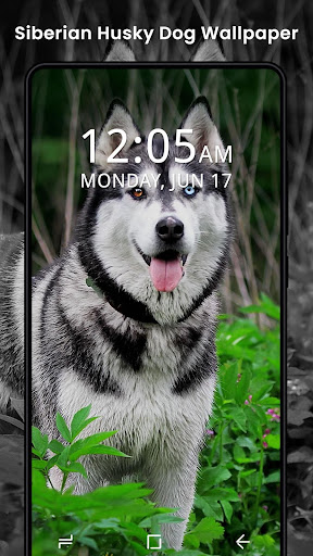 Puppy Dog and Cat Wallpapers 4K