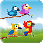 Bird Sort Colour Puzzle