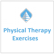 Physical Therapy Exercises