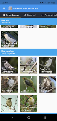 Australian Birds Sounds Pro Screen 2