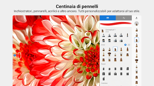 Immagine screenshot