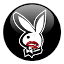 Bunny VPN Unblock your site