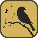 Cuckoo Bird Sounds & Ringtones icon