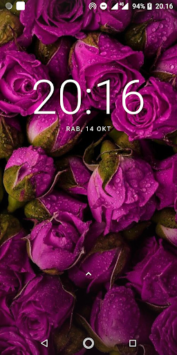 Flower Wallpapers Screen 2