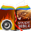 Study Bibles (Multiple Languag