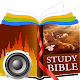 Study Bibles (Multiple Languages) Windows에서 다운로드