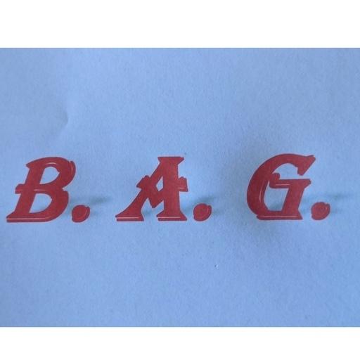 Bruno Puppo logo