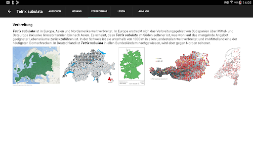 Logo https://play-lh.googleusercontent.com/S_tn1ry3872HTsMbmN00hlh2lSRDlAvF3FaShCaD1phCA1KI22McFMMEzwrcSmLaax4