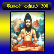 Bogar Karpam 300
