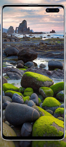 Nature garden wallpapers Screen 3