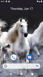 Horse Wallpaper HD Screenshot