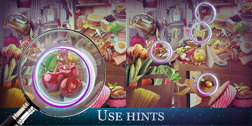 Find The Differences Puzzle Screen 3