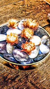 Simply HDR 3.1007 Apk 5