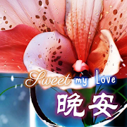 Chinese Good Night & Sweet Dreams Wishes Messages