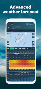 Windy.app: wind & weather live 2