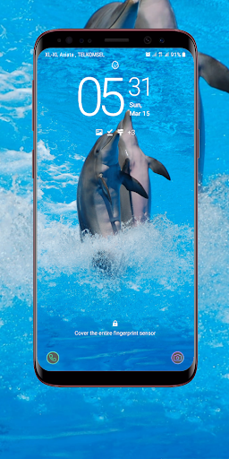 Dolphin Wallpaper Screenshot 4 - AppWisp.com