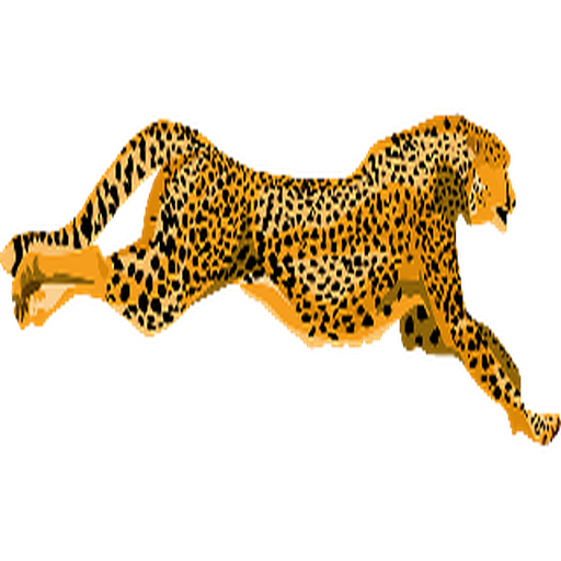SPORTY CHEETAH 3 logo