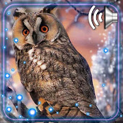 Winter Owls Live Wallpaper