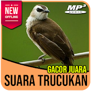 Suara Burung Trucukan Gacor Ngropel