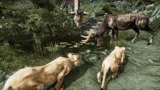 Android application Ultimate Lioness Simulator screenshort