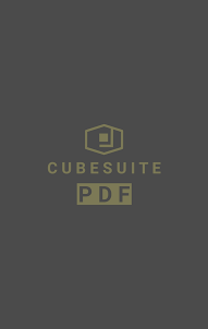 CubeSuite PDF