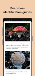 Picture Mushroom - Mushroom ID