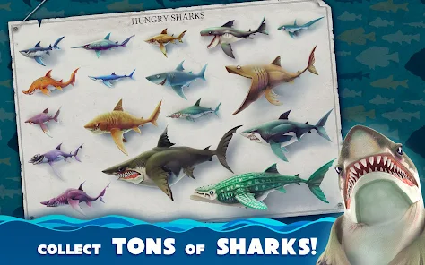 Shark VR sharks games for VR - Apps on Google Play