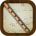 Flute Pro