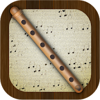 Flute Pro
