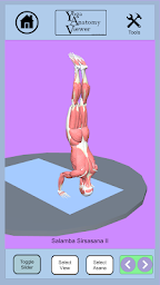 Yoga Anatomy Viewer