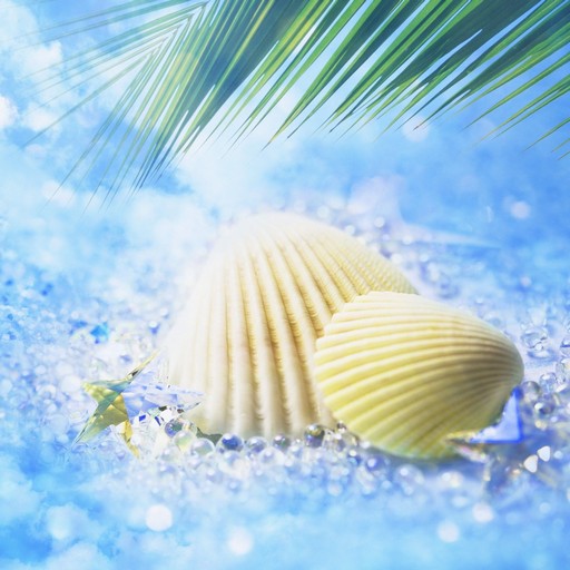 Seashell Wallpapers logo