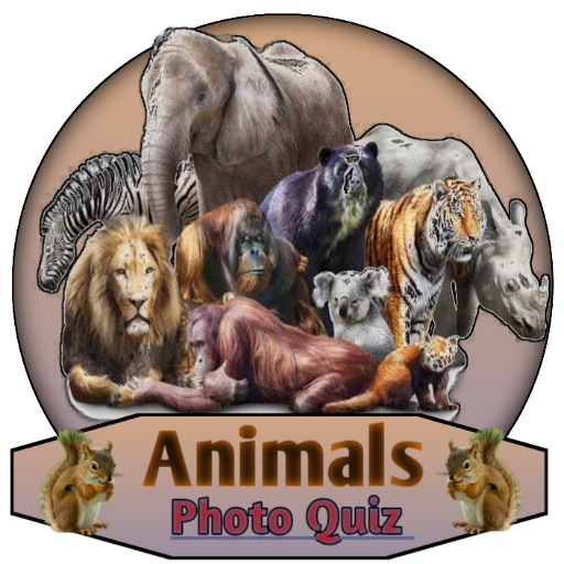 Animals Gaming Quiz