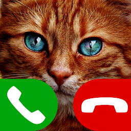 Imagen de icono gato juego de llamada falsa