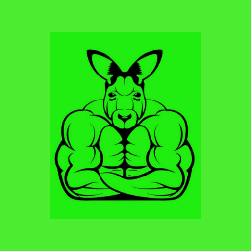 A1FIT logo