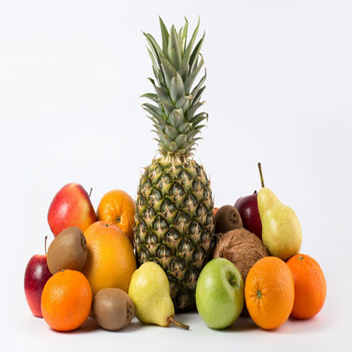 Types of fruits logo