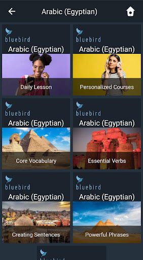 Android application Learn Egyptian Arabic. Speak E screenshort