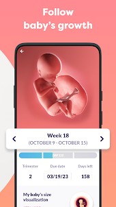 Pregnancy tracker week by week