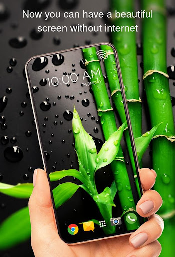 Plants on offline wallpapers