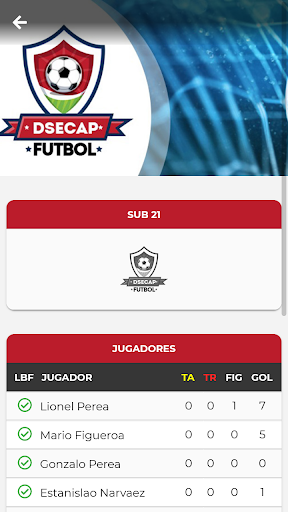 DSECAP Screen 2